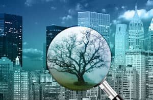 A magnifying glass showing a tree against a city landscape