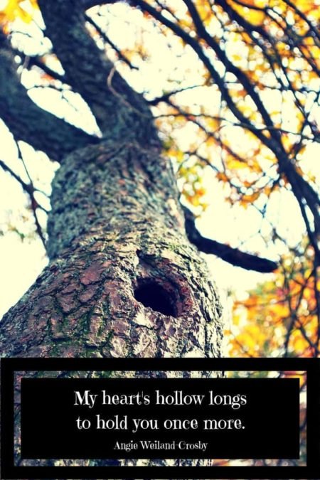 grief quote with an autumn tree and a hollow....My heart's hollow longs to hold you once more.