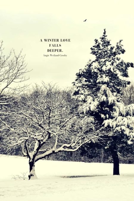 winter quote with trees and a brid flying in the snow...A winter love falls deeper.