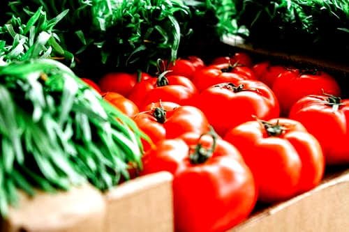 red ripe tomatoes...