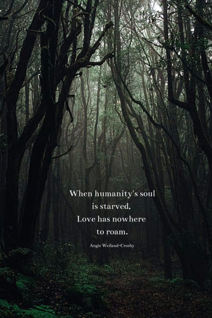 soulful quote with a dark forest...
