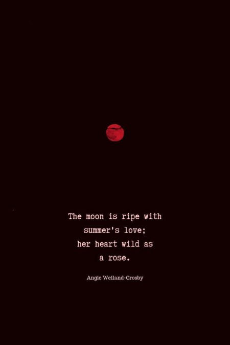 beauty of nature love quote with a blood red moon...