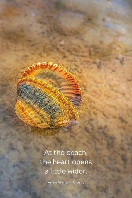 beach quote with a shell...