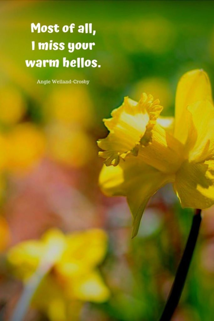 miss you quote with a yellow daffodil..."Most of all, I miss your warm hellos." Angie Weiland-Crosby