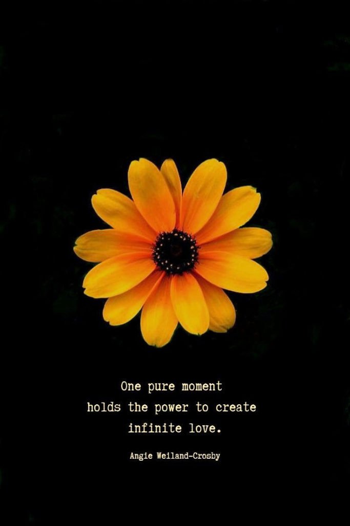 inspirational quote | love quote | life wisdom quote | deeper quote | a picture of a yellow flower | "One pure moment holds the power to create infinite love."