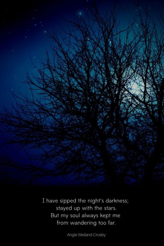 darkness quote | soul quote | a picture of nightime in nature with a full moon and stars | 