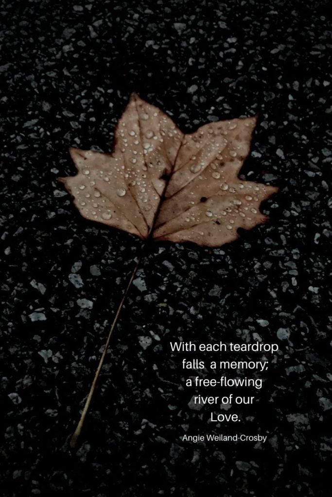an autumn leaf with raindrops..."With each teardrop falls a memory; a free-flowing river of our Love."