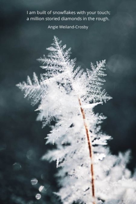 beautiful snowflakes in winter, nature photography, Eberhard Grossgasteiger...