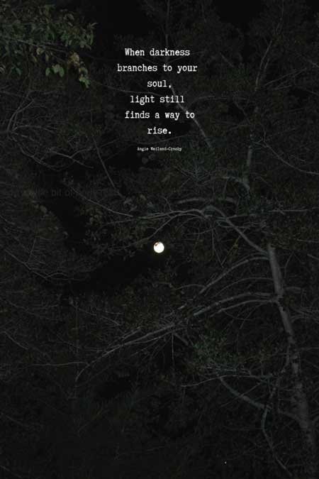 darkness quotes | soul quotes | mindfulness quotes | a picture of nature with a full moon, tree branches, and a dark night 