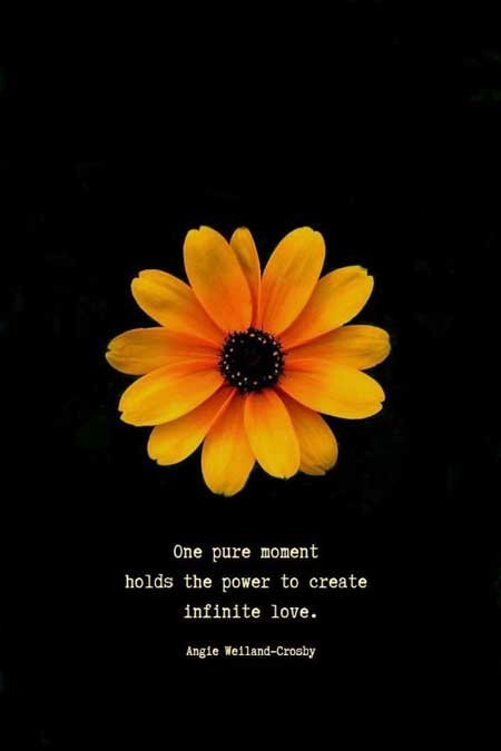 inspirational love quote | soul quotes | love quotes | a picture of a yellow flower | 