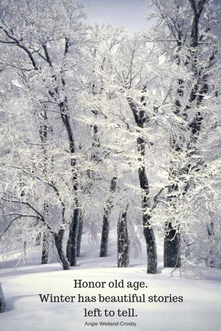 winter quote | nature quote | life wisdom quote | a picture of nature with beautiful trees and snow | 