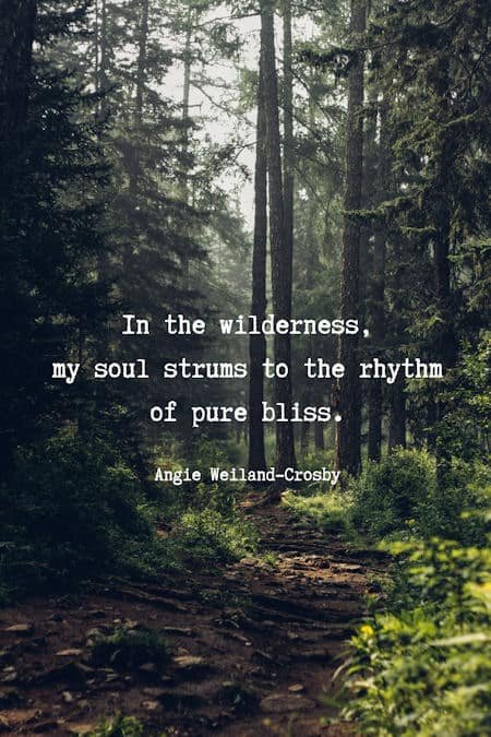 soul quote | nature quote | a deep forest...