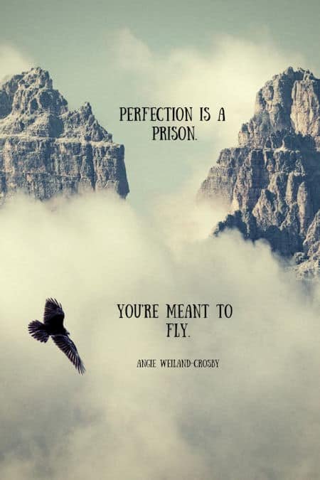 inspirational quote..."Perfection is a prison.  You're meant to fly."