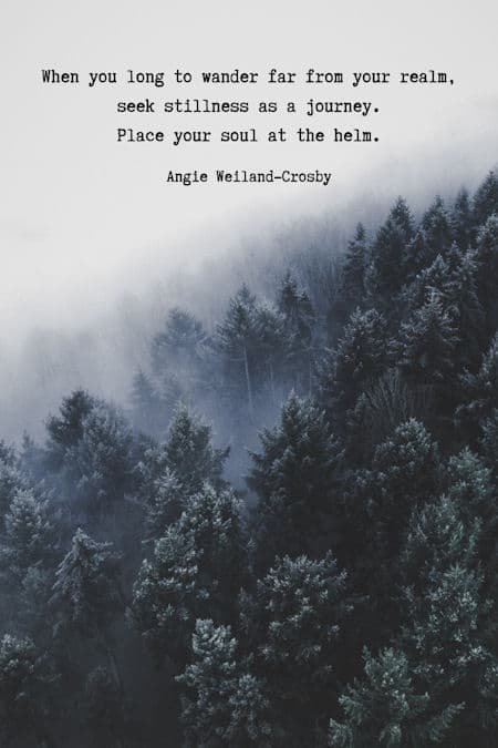 words to inspire soul with a foggy forest...photo by Christian Grab