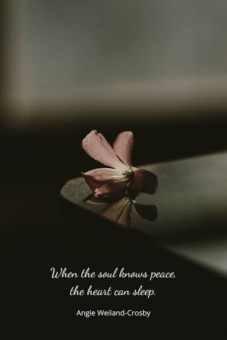 inner peace quote with photography of a beautiful flower by Alan Cabello...