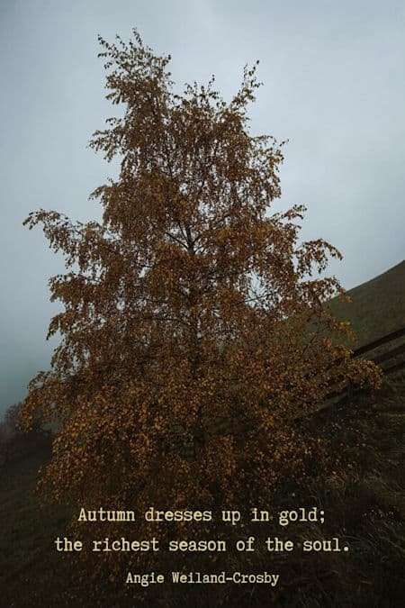 autumn quote with a gold tree by Eberhard Grossteiger...