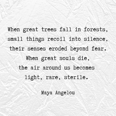 tree poetry by Maya Angelou...