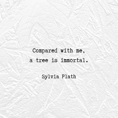 Sylvia Plath quote about a tree and immortality...