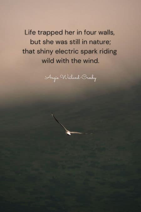 nature girl quote and photography of a bird flying by Naseem Buras...