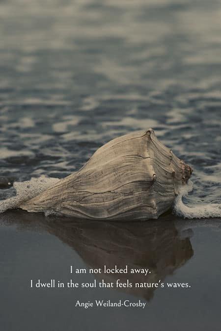 inspirational nature quote with a shell on the seashore | photo by Alan Cabello...