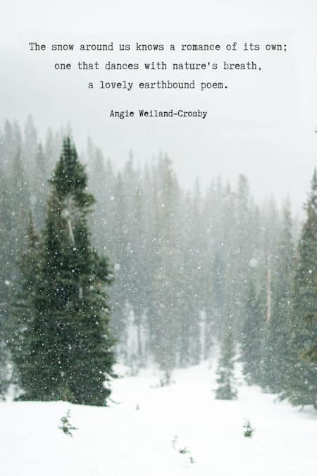 snow quote with snowfall and pine trees by Grant Lemons