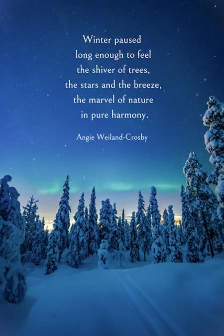 Winter quote with a beautiful snowy setting at night | photo by Juho Luukkanen