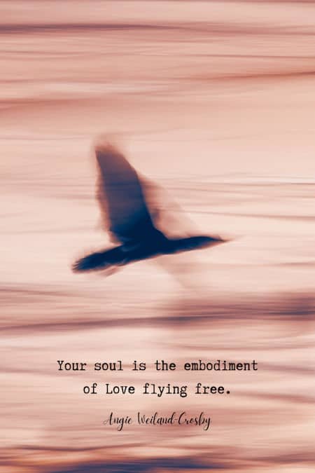 soul quote with a bird flying | Photo by Marek Piwnicki
