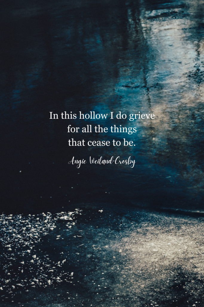 grief quote with a frozen lake in winter | Photo by Eberhard Grossgasteiger