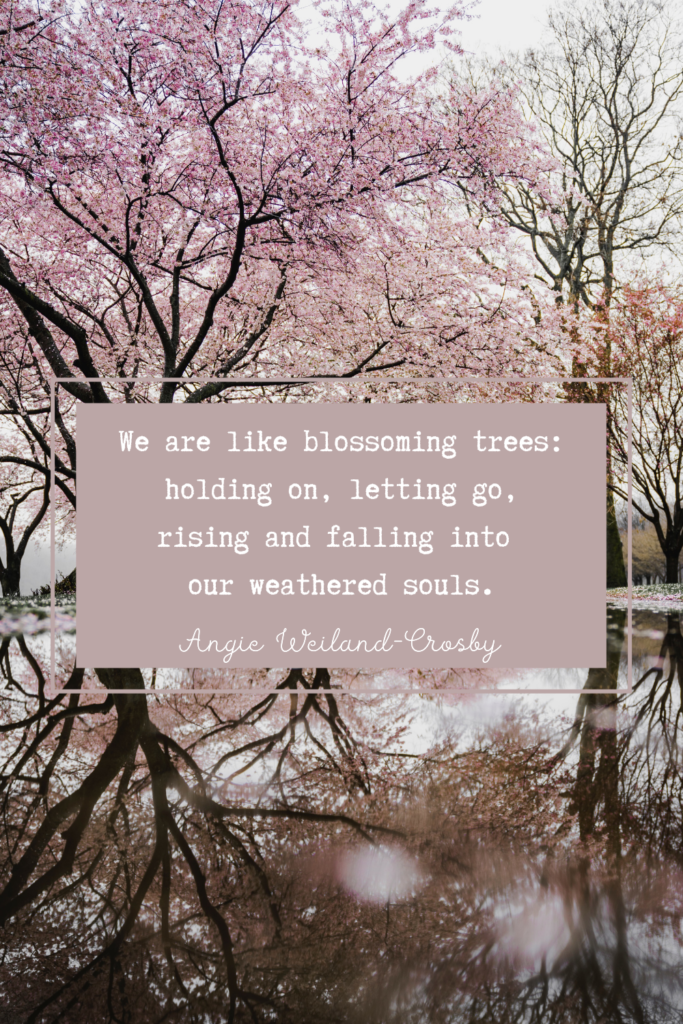 inspirational quote with blossoming trees in the spring | Photo by bantersnap on Unsplash