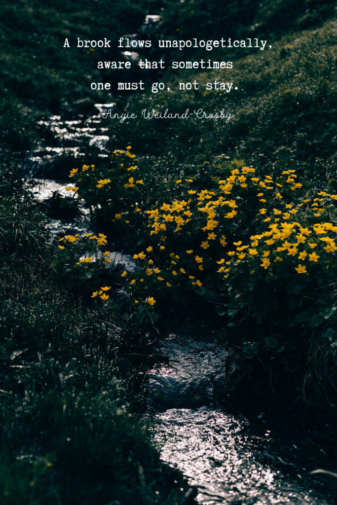 wanderlust quote with a beautiful brook and yellow flowers | Photo by Eberhard Grossgasteiger