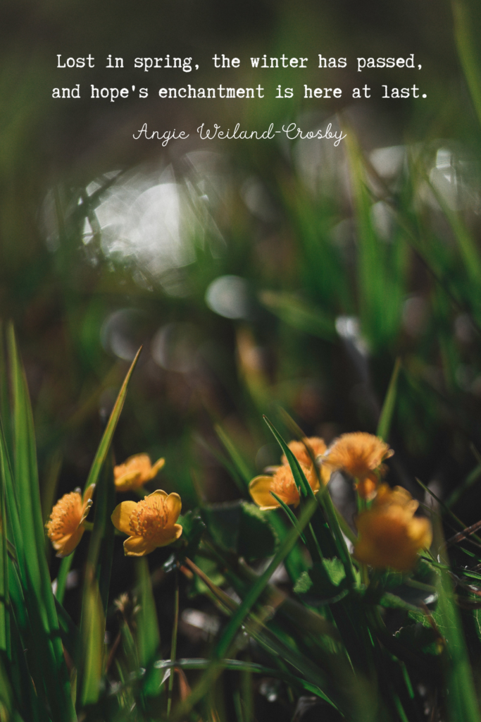 spring quote with beautiful yellow flowers | Photo by Eberhard Grossgasteiger