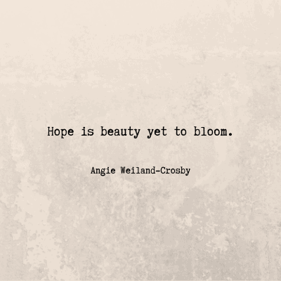 beautiful quote about hope . . . 