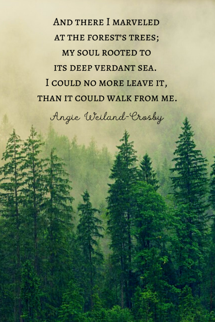 tree quote with a green forest . . . 