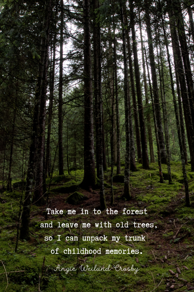 forest quote with green woodland | Photo by Eberhard Grossgasteiger . . . 