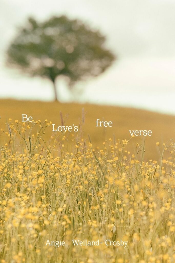 Nature Photography of a field of buttercups and a tree by Silvestri Matteo