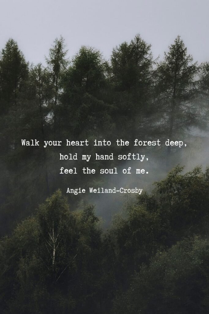 forest quote with foggy woods by Eberhard Grossgasteiger