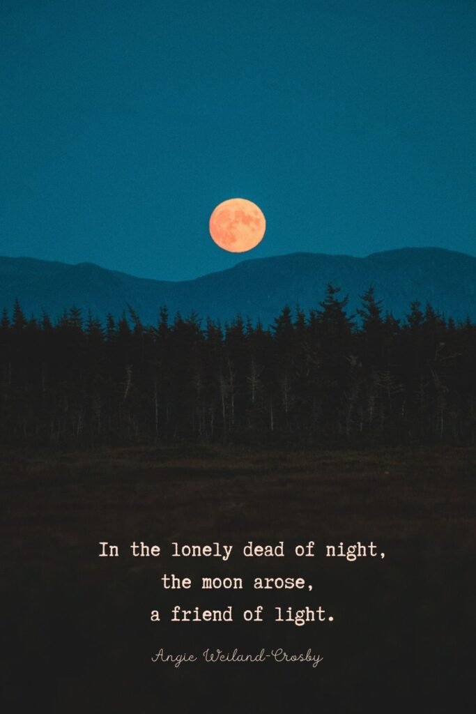 loneliness quote with a full moon picture by Erik Mclean