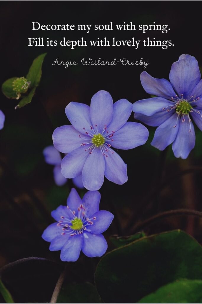 Blue Flower photography by Eberhard Grossgasteiger