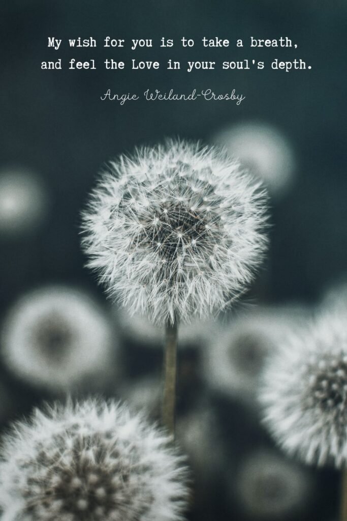 inspirational quote with Nature Photography of Dandelion Wishes by Eberhard Grossgasteiger