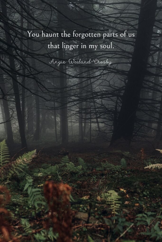 heartbreak quote and moody forest photography by Eberhard Grossgasteiger 