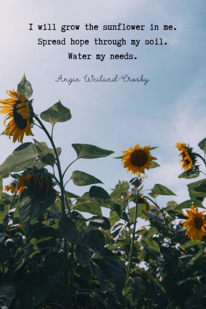 Hopeful Sunflowers by Eberhard Grossgasteiger