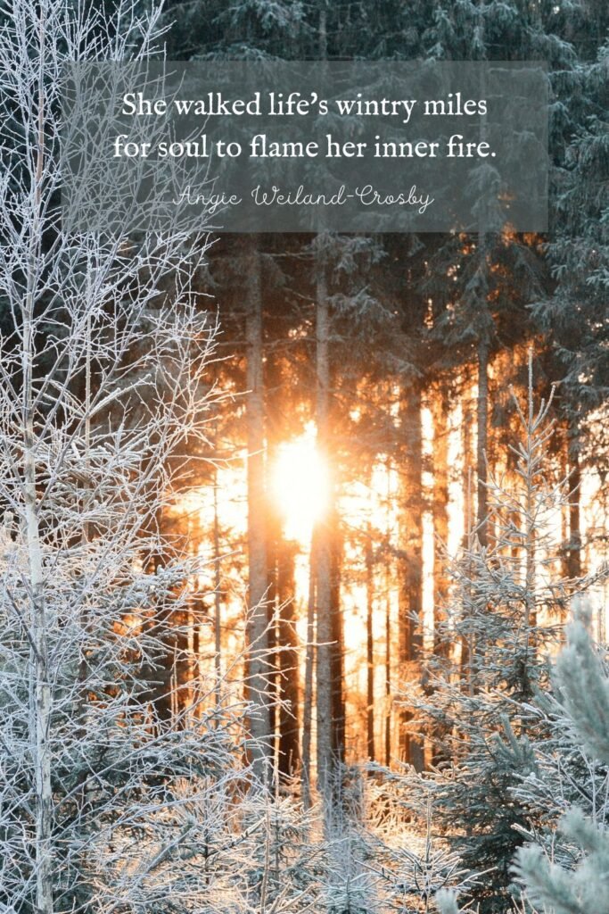 Beautiful Winter Sunrise Forest 