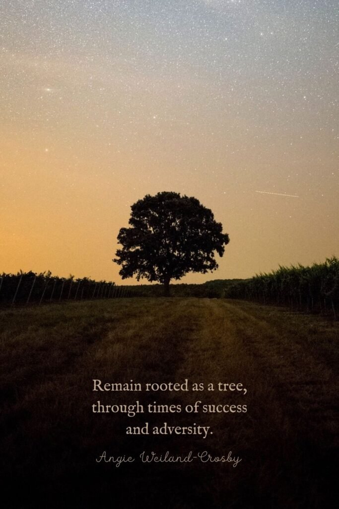 Tree, country road, and starry night by Daniel Olah 