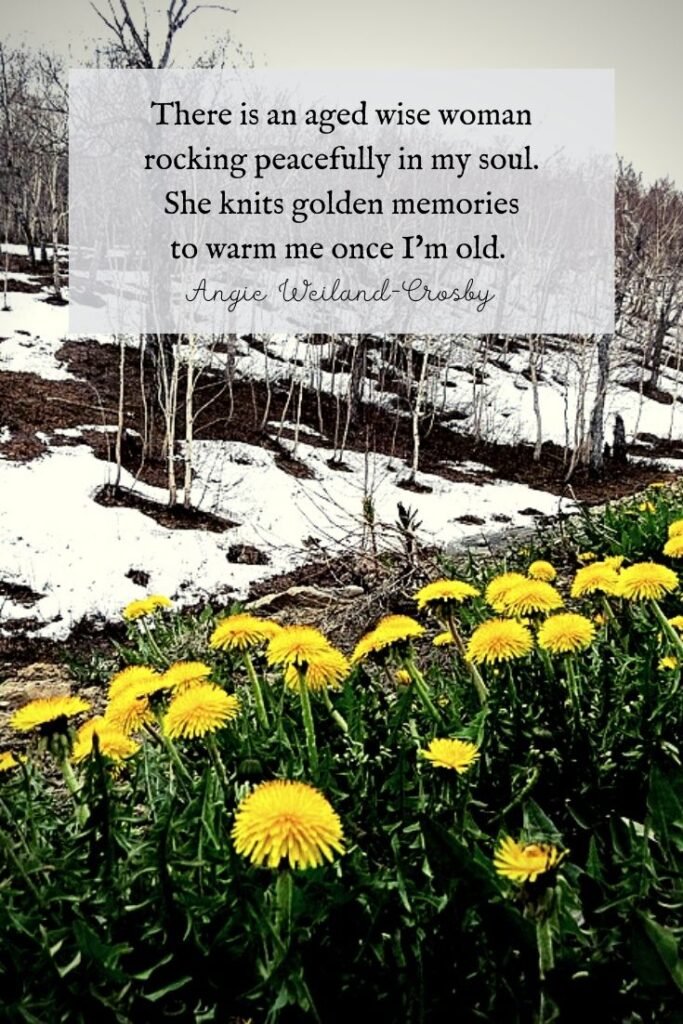 Soul Quote | Nature Photography of Dandelions and Snowfall 