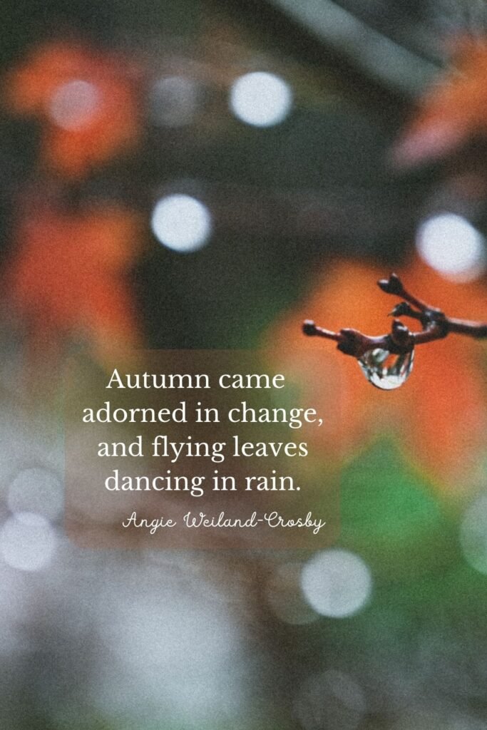 Raindrop and Autumn Leaves Photography by Faith Lehman