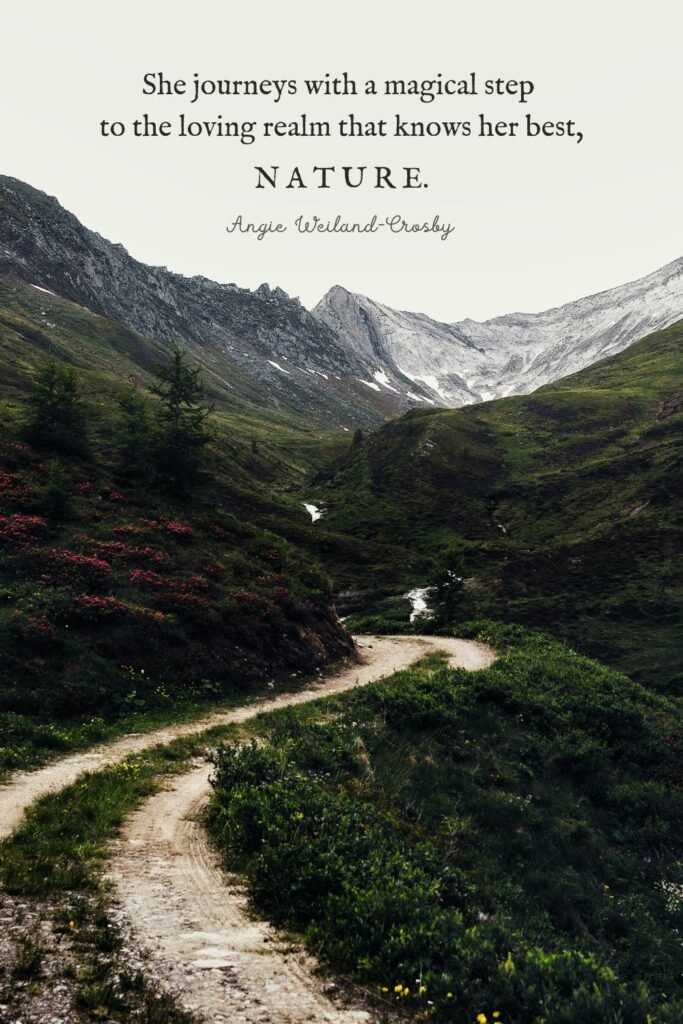 Nature Photography of a Country Road with Wildflowers and Mountains by Eberhard Grossgasteiger