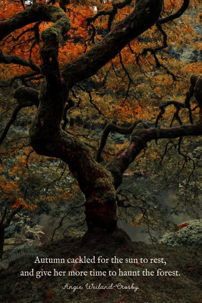 Orange Haunted Autumn Tree by Devon Beard