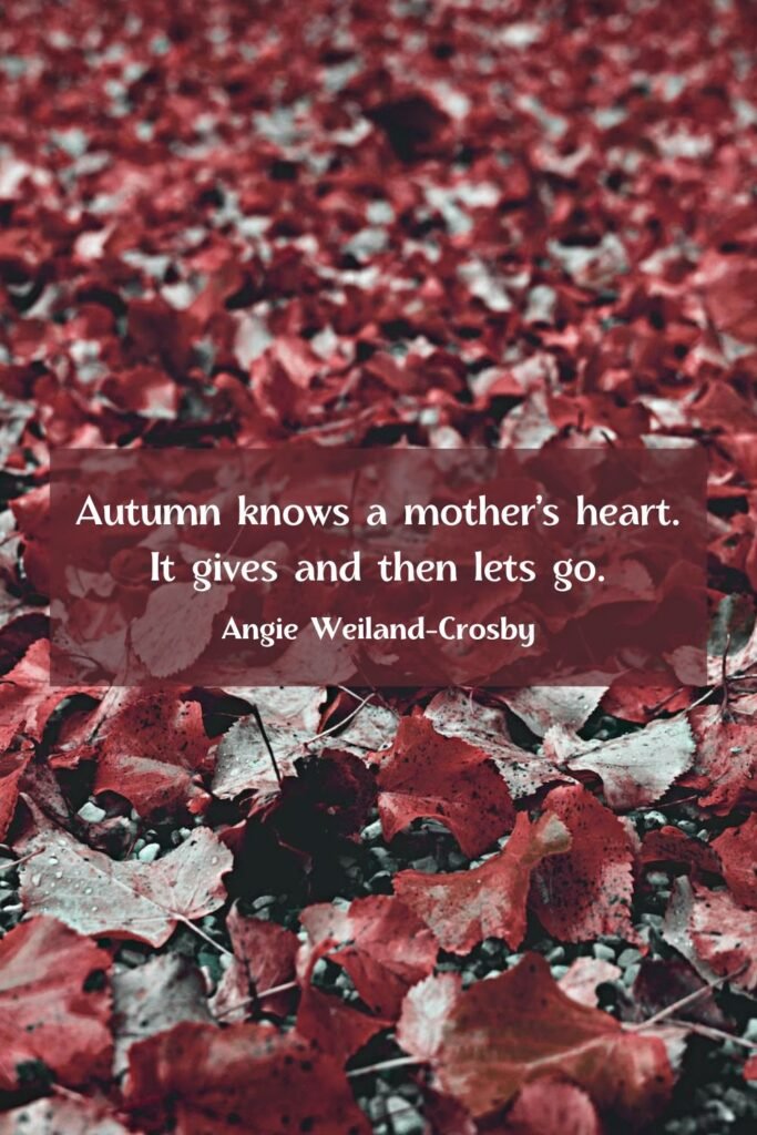 Autumn Quote by Angie Weiland-Crosby | Photo by Eberhard Grossgasteiger