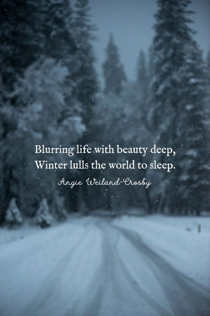 Beautiful Winter Quote by Angie Weiland-Crosby | Winter Wonderland Photo by Casey Horner