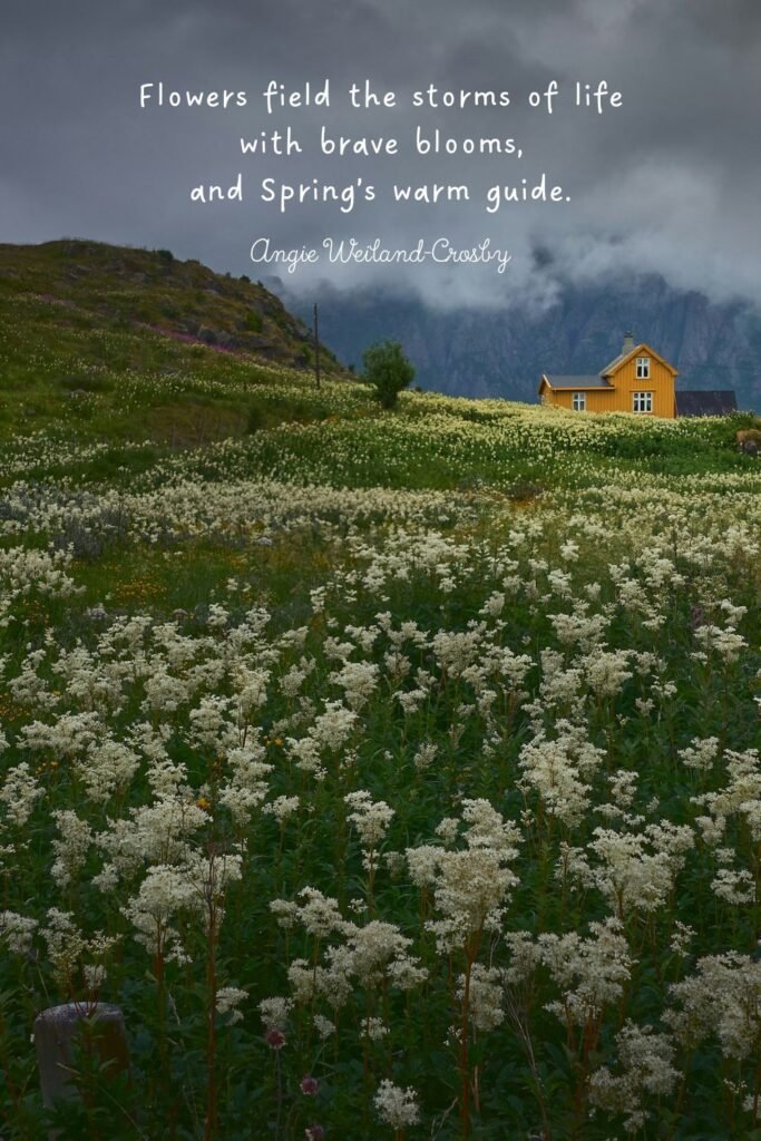 Field of Flowers and Storm Clouds by Vidar Nordli